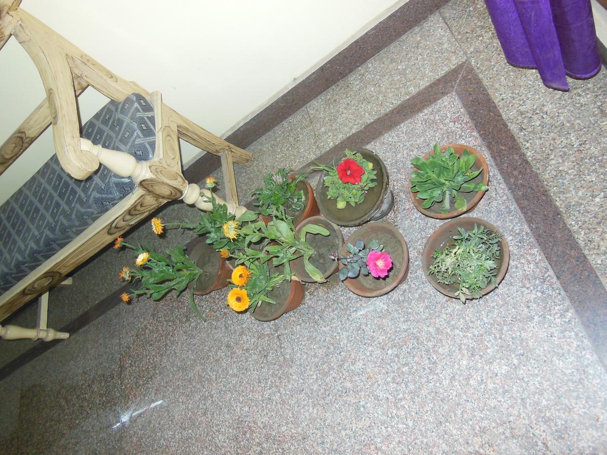 Guest house Shiva Varanasi